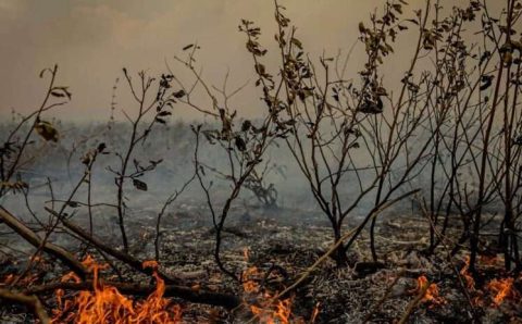 MT:  Mato Grosso enfrenta colapso climático com temperaturas que poderão alcançar 50° graus