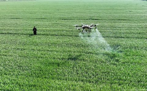Estudo vincula glifosato a dano cerebral permanente