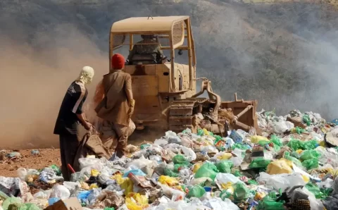 Lixões causarão novas pandemias? Estudo revela condições para isso acontecer