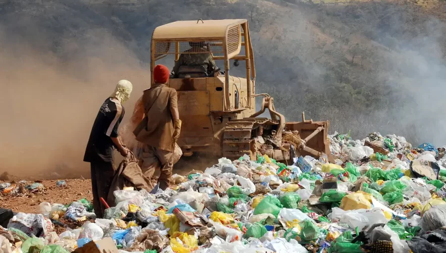 Lixões causarão novas pandemias? Estudo revela condições para isso acontecer