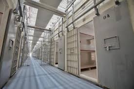 Número de reeducandos com emprego em MT salta 513% em mais de cinco anos