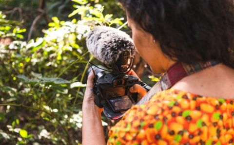 MT:  INSCRIÇÕES ABERTAS:  Secel oferece oficinas de execução e prestação de contas de projetos contemplados em editais da Lei Paulo Gustavo em MT