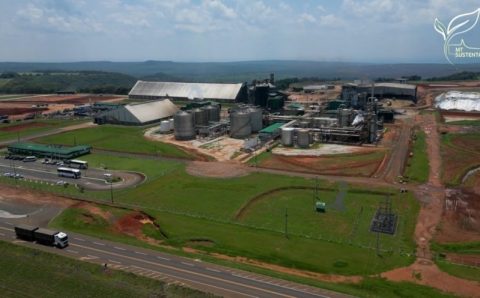 MT:  MT SUSTENTÁVEL:  Grupo de produtores se une para agregar valor à produção agrícola em Mato Grosso
