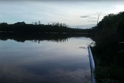 Fazendeiro firma TAC com o MP e terá que pagar R$ 50 mil por dano ambiental