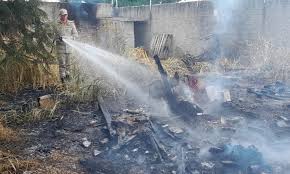 Corpo de Bombeiros combate incêndio em vegetação em área urbana em Primavera do Leste