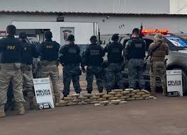 PM prende quadrilha por tráfico e apreende 36 tabletes de drogas em ação integrada com a PMGO e PRF