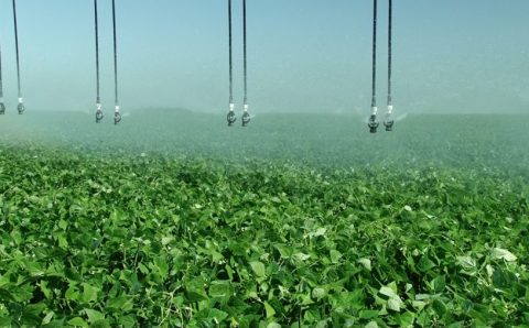 Água: Um Desafio Global para a Agricultura Moderna