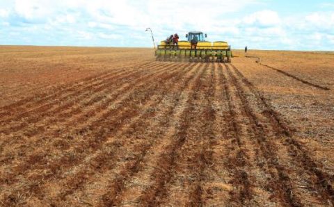 MT:  ATÉ 28 DE FEVEREIRO:   Indea prorroga prazo de cadastramento obrigatório de área cultivada de soja