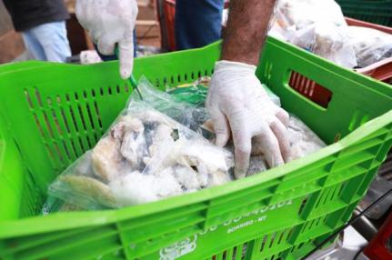 Vigilância Sanitária realiza descarte de produtos irregulares