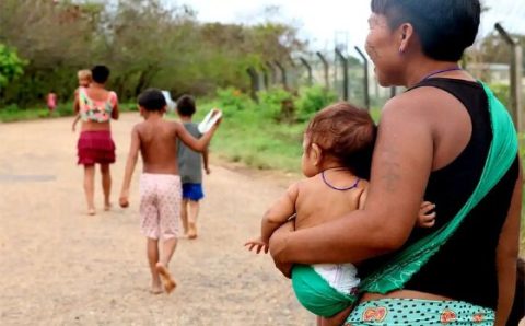 DIREITO À ALIMENTAÇÃO:   Conab apoia entrega de 2.000 cestas de alimentos a comunidades Yanomami