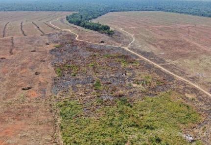 Mato Grosso tem 2 municípios com maior desmatamento ilegal