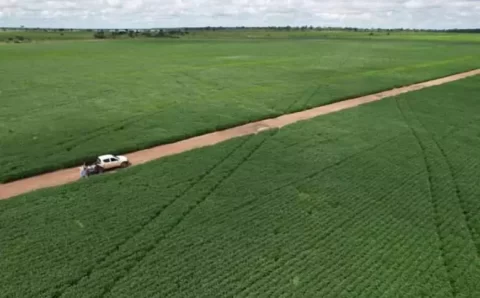 MT:  Produtores de soja de Mato Grosso têm até 15 de fevereiro para cadastrar unidades de produção no Indea