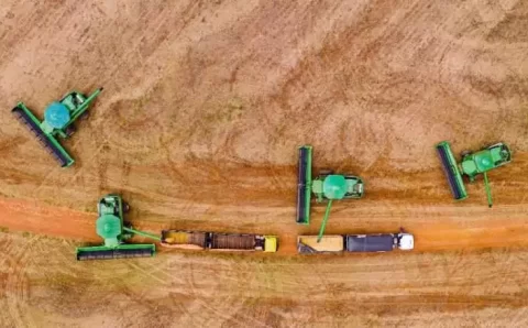 MT:   Vendas de soja em Mato Grosso avançam, mas preços recuam em janeiro de 2025