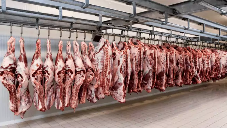 MT:  Abate de bovinos cresce 18,05% em janeiro em MT, com destaque para fêmeas