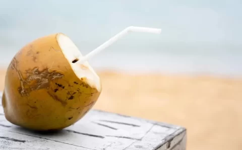 Benefícios da água de coco: além de isotônico natural, veja 6 propriedades