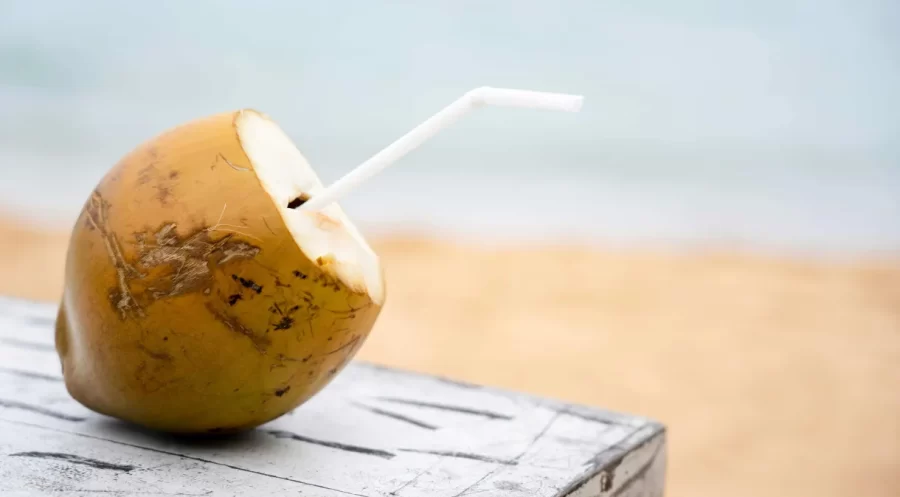 Benefícios da água de coco: além de isotônico natural, veja 6 propriedades