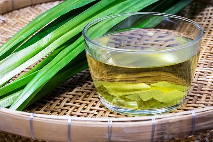 Chá de capim-cidró auxilia na digestão: como preparar e mais benefícios