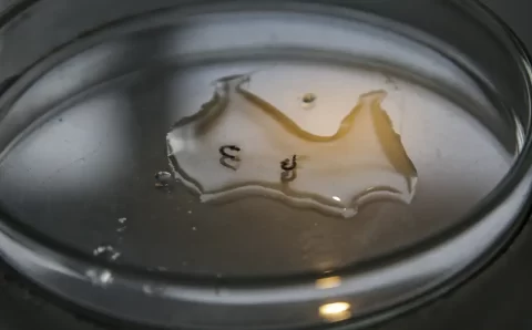 Campanha de mobilização contra dengue nas escolas começa nesta segunda