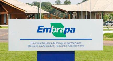 STF manda Estado devolver valores de ICMS recolhidos nos últimos 5 anos da Embrapa