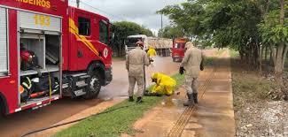 Corpo de Bombeiros socorre mulher e animais após ataque de abelhas