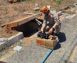 Corpo de Bombeiros resgata seis filhotes de cão em bueiro 