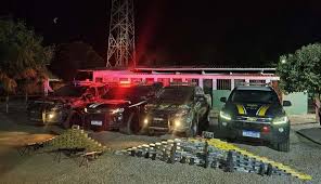 Polícia Militar apreende mais de quatro toneladas de drogas em janeiro no Estado