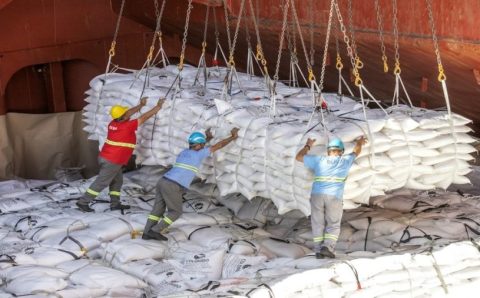 AGROEXPORT:  Exportação de açúcar em 2024 foi recorde, mas 2025 não deve repetir o feito; entenda