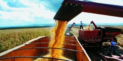 MT:  Colheita de soja em MT atinge 28,58% da área e tira parte do atraso, aponta Imea