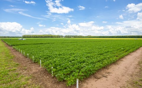 MT:  Aprosoja MT divulga os principais eventos que abrem o calendário do agro de 2025