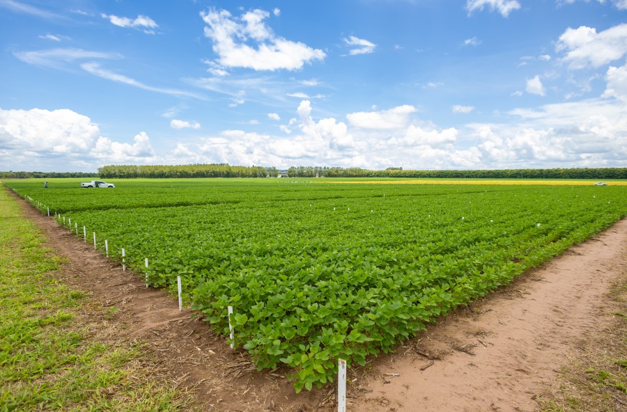 MT:  Aprosoja MT divulga os principais eventos que abrem o calendário do agro de 2025