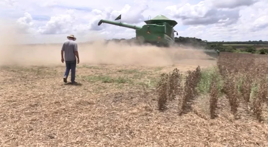 MT:  SOJA BRASIL:   Excesso de umidade e carência de armazéns podem colocar em risco produtividade da soja em MT