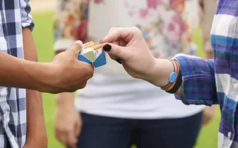 Obesidade e tabagismo na adolescência indicam saúde cardiovascular futura