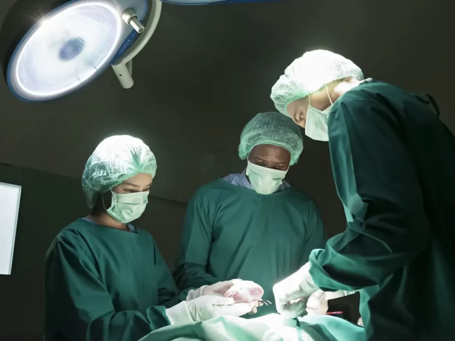 Homem recebe rim de porco geneticamente editado em procedimento pioneiro