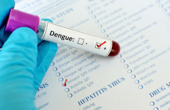 MT:  RISCO PARA IDOSOS:   Entenda quais são os grupos de risco para dengue e chikungunya