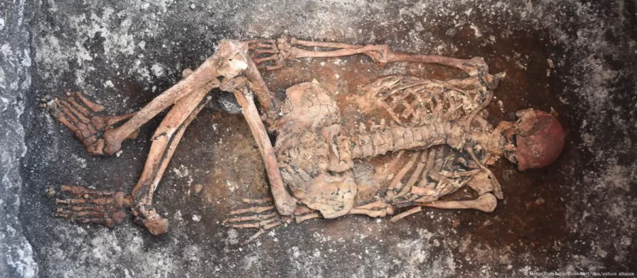 Pesquisadores acham origem de todos os idiomas indo-europeus