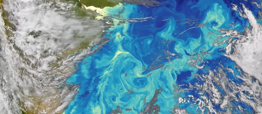 Degelo desacelera corrente oceânica vital para Antártida