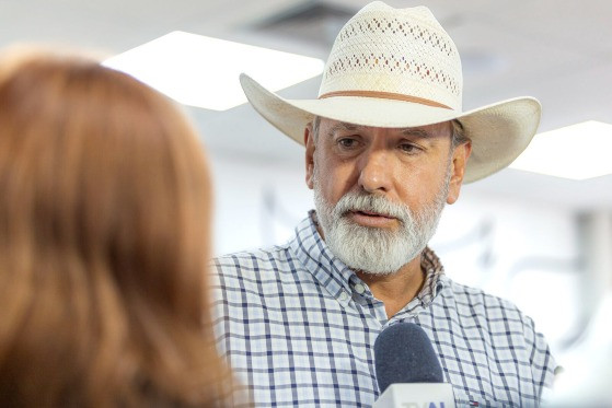 MT:  ZEBUÍNOS:    Melhoramento genético do gado avança com instalação de Câmara Setorial