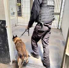 Operação Mute realizada em 41 unidades penais de MT remove 65 celulares e outros materiais ilícitos