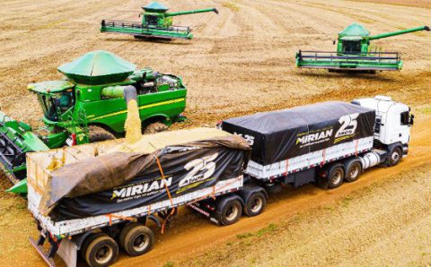 MT:  89 MILHÕES DE TONELADAS:    MT deverá responder por 30% da safra recorde de grãos no Brasil