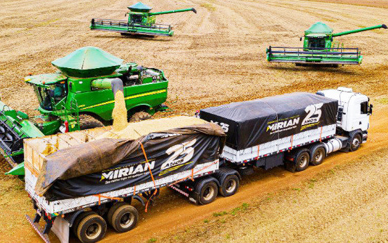 MT:  89 MILHÕES DE TONELADAS:    MT deverá responder por 30% da safra recorde de grãos no Brasil