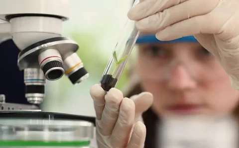 CNPq anuncia vencedoras do Prêmio Mulheres e Ciência