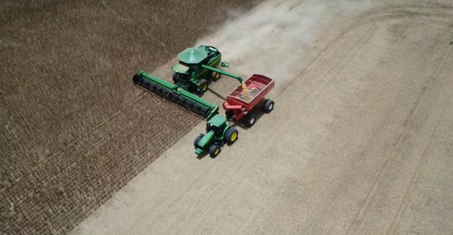 MT:   SOJA BRASIL:  Clima adverso gera incertezas e agricultores freiam vendas em Mato Grosso