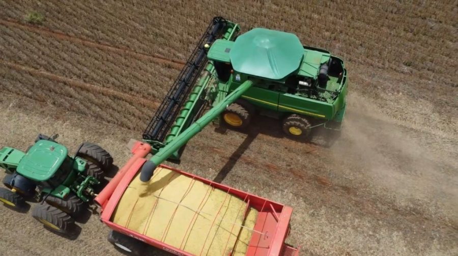 MT:  SAFRA 2024/25:   Imea prevê recorde de 49,7 mi/t de soja para Mato Grosso