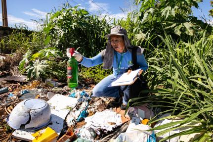 Chuvas continuam e mantém alerta contra a dengue em Cuiabá; confira os cuidados