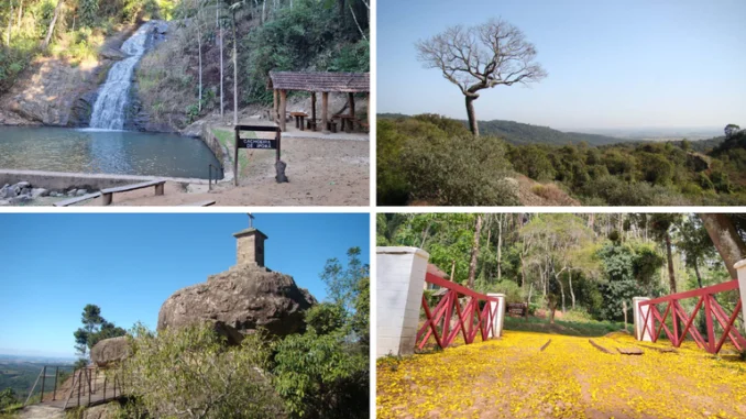 Ministério do Turismo relança edital para contratação de consultoria para promoção do turismo em florestas nacionais