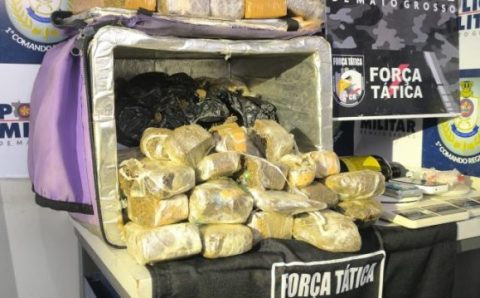 Força Tática apreende tabletes e porções de droga e causa prejuízo de R$ 50 mil às facções