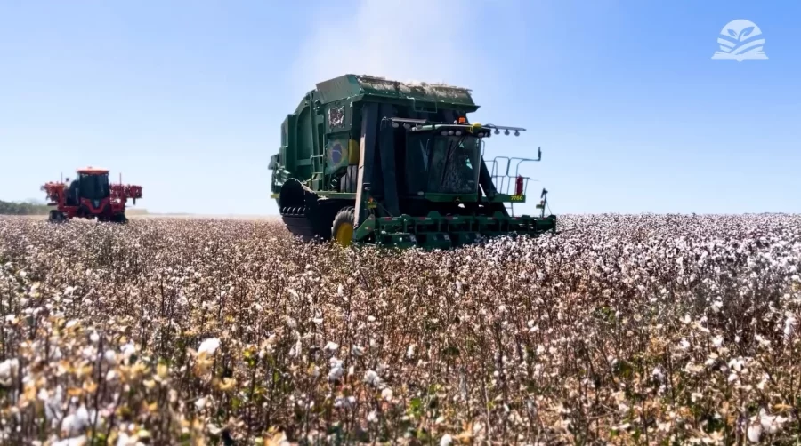 FIBRA PELO MUNDO:   Guerra comercial entre EUA e China seguem gerando incertezas no mercado global