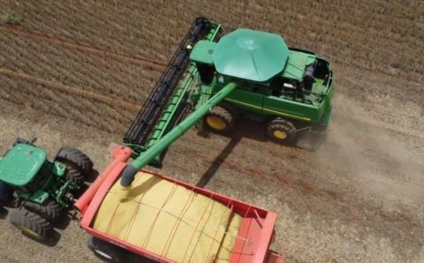 MT: Mato Grosso deve colher safra recorde de 50,3 milhões de toneladas de soja