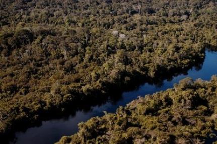 Justiça aponta documentos falsos e nega reintegração de posse a empresa no Parque Estadual Cristalino II