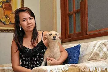 Entenda por que você não deve beijar seu pet